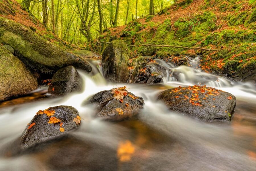 From Dublin: Wild Wicklow Mountains and Glendalough Tour - Whiskey tasting at Glendalough: the fun Irish finish