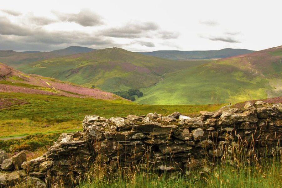From Dublin: Wild Wicklow Mountains and Glendalough Tour - Getting your day right: wear boots, plan for weather, expect stories
