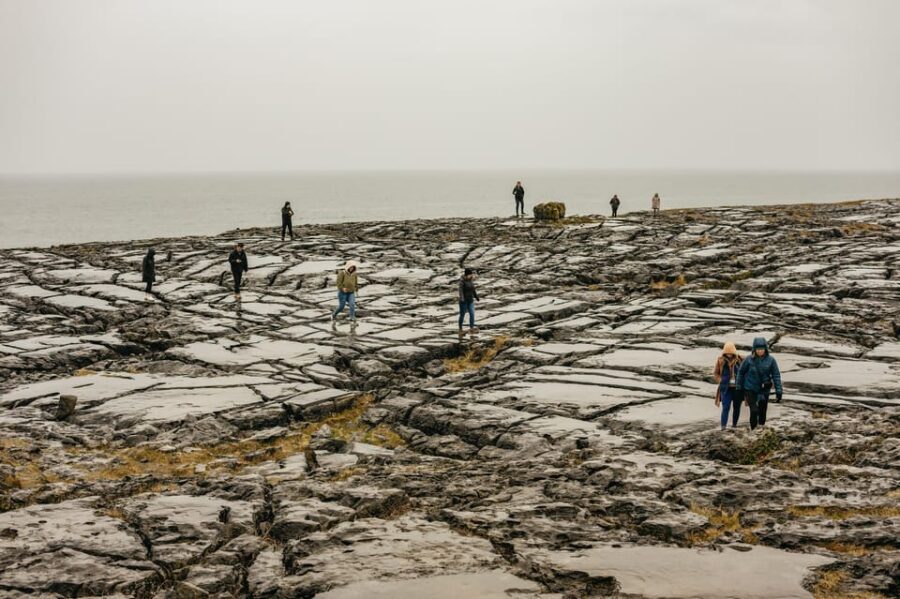 From Galway: Cliffs of Moher and The Burren Guided Day Trip - Key things that make this day trip work