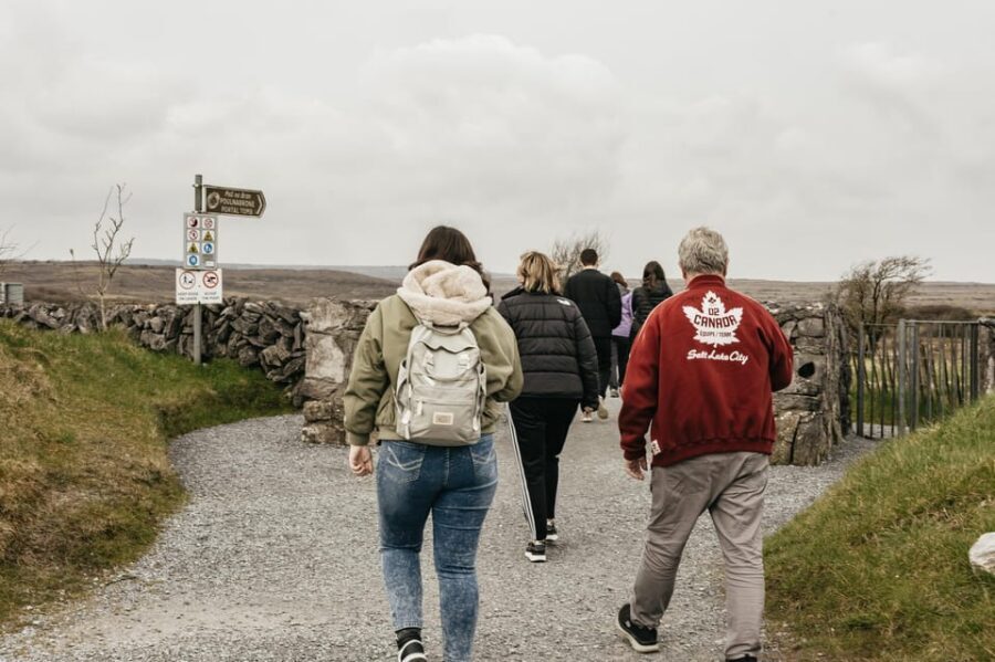 From Galway: Cliffs of Moher and The Burren Guided Day Trip - Kilfenora Celtic crosses and Lisdoonvarna matchmaking: the day’s cultural detour