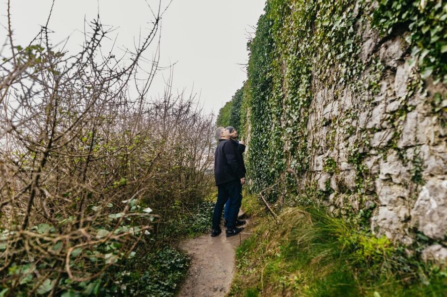 From Galway: Cliffs of Moher and The Burren Guided Day Trip - The Wild Atlantic Way Coast Road return: how the drive finishes your day