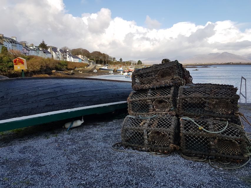 From Galway: Connemara and Kylemore Abbey Day Tour - Key points before you go