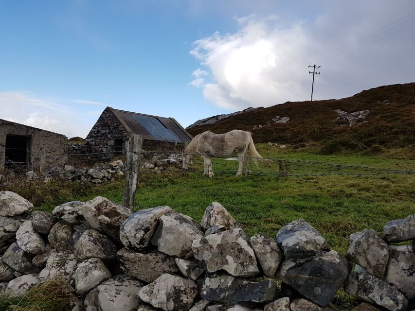 From Galway: Connemara and Kylemore Abbey Day Tour - Screebe waterfall and the quick photo-stop rhythm