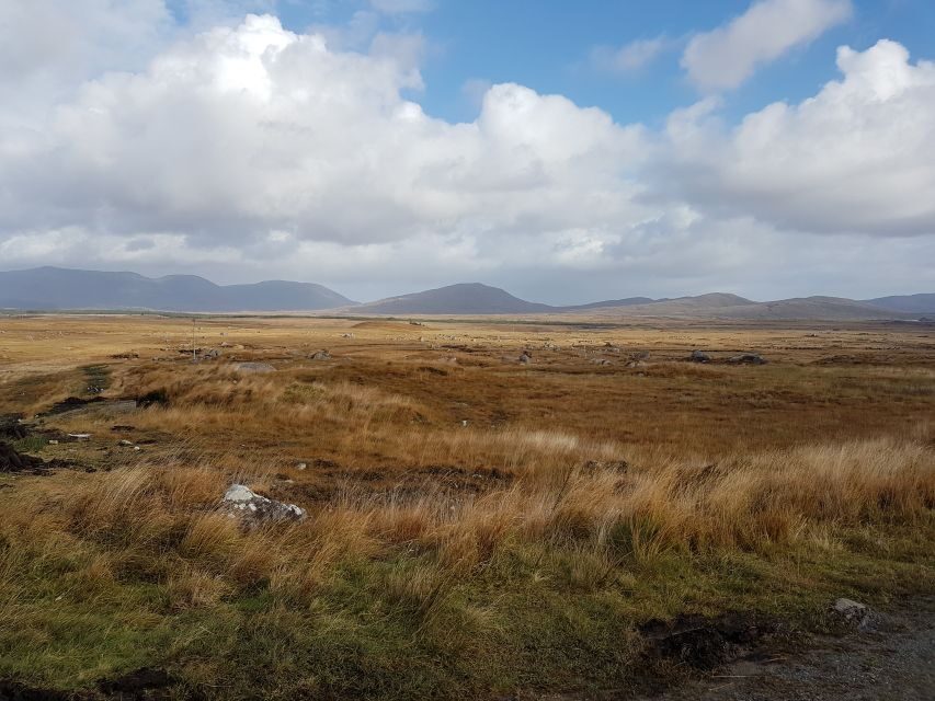 From Galway: Connemara and Kylemore Abbey Day Tour - Sky Road viewpoint: Atlantic islands and that perfect stop