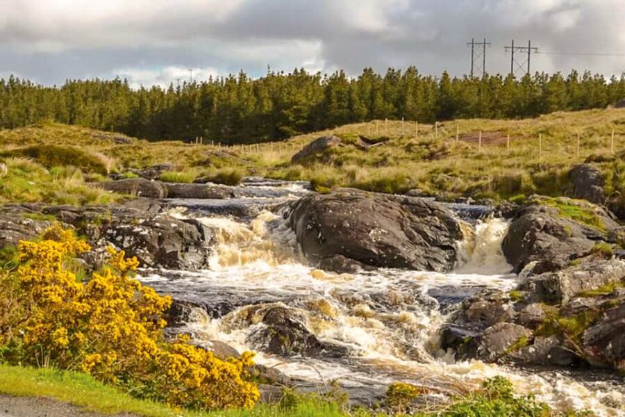 From Galway: Connemara & Kylemore Abbey Full-Day Guided Tour - Why this day trip feels like a best-of West Ireland