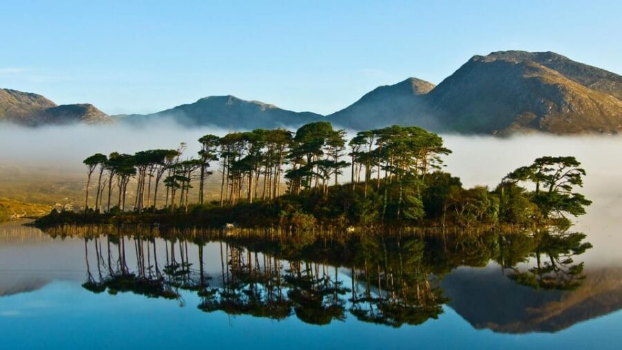 From Galway: Connemara, Kylemore Abbey or National Park Tour - Key highlights to know before you go
