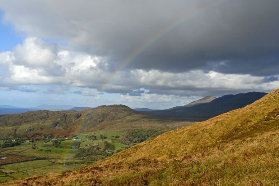 From Galway: Connemara National Park Full Day Tour - Connemara National Park and Diamond Hill: The Real Event