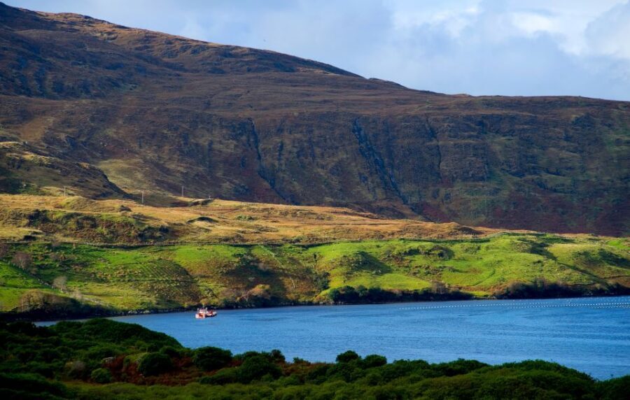 From Galway: Connemara National Park Full Day Tour - How the Timing and Return Route Actually Play Out