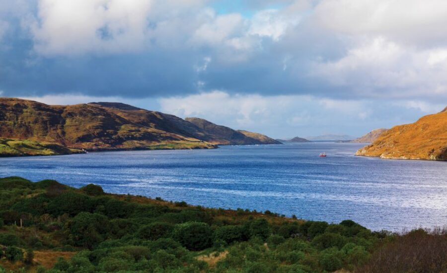 From Galway: Connemara National Park Full Day Tour - Cost, Inclusions, and What You’ll Need to Pay For Yourself