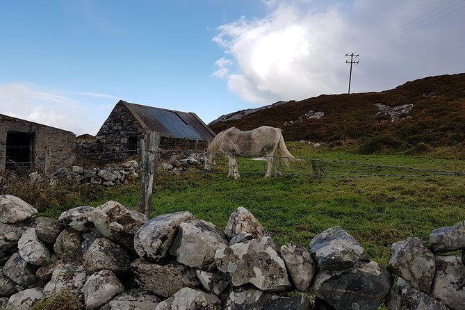 From Galway: Guided tour of Connemara with 3 hour stop at Connemara National Pk. - Lough Inagh, the Connemara Giant, and Quiet Man Bridge: the last stretch