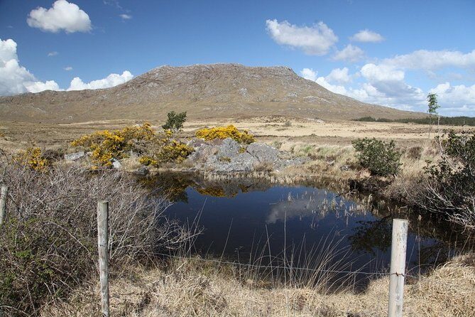 From Galway: Guided tour of Connemara with 3 hour stop in Kylemore Abbey - From Merchants Road to Wild Atlantic Way views: why this route works