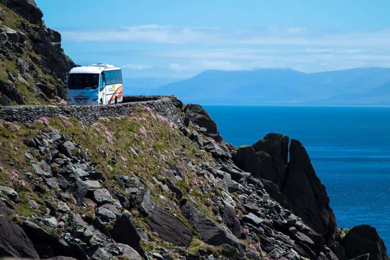 From Killarney: Dingle and Slea Head Peninsula Day Tour - Key Things That Make This Tour Worth It