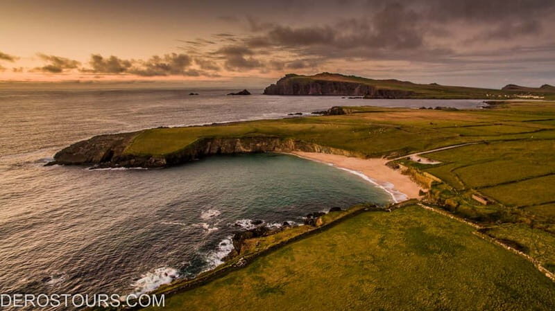 From Killarney: Dingle and Slea Head Peninsula Day Tour - Dingle Dolphin Sightings: Not Guaranteed, Still Part of the Fun