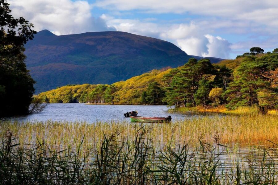 From Killarney: Ring of Kerry Full-Day Tour - Celtic myths, stone forts, and standing stones along the Iveragh Peninsula