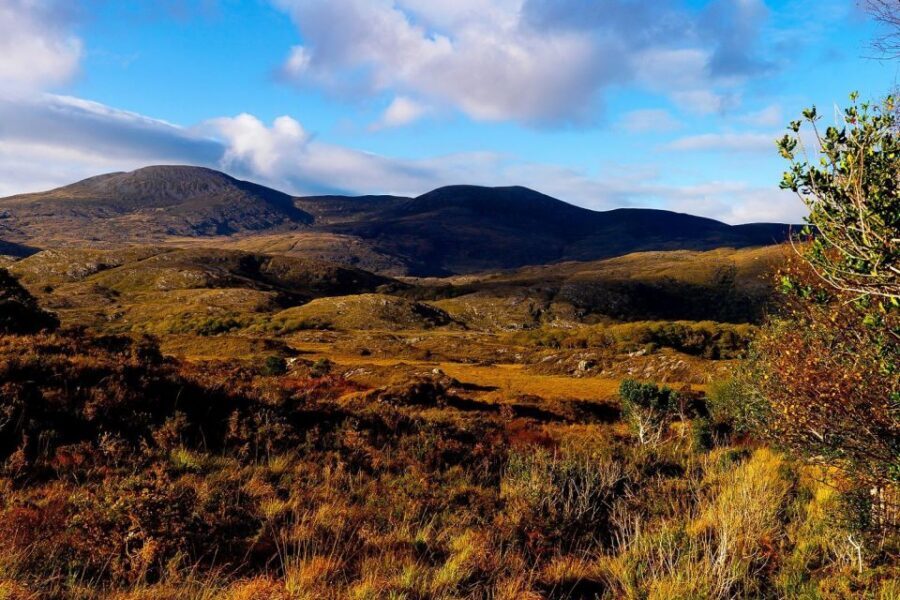From Killarney: Ring of Kerry Full-Day Tour - Sneem’s two squares and the river bridge at Kenmare Bay