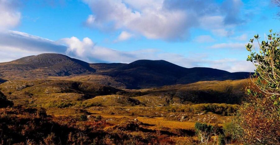 From Killarney: Ring of Kerry Full-Day Tour - Price and value around $51: when this bus tour pays off