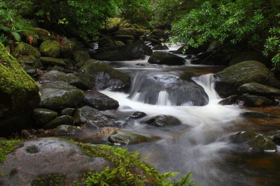 From Killarney: Ring of Kerry Full-Day Tour - Killorglin, Dingle Bay, and Inch Beach: where the day turns dramatic