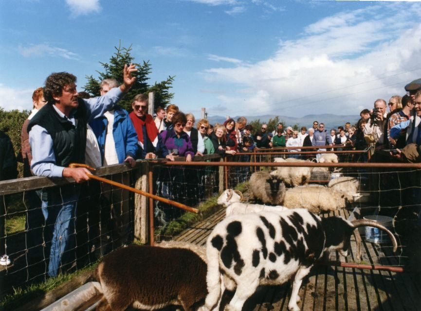 From Killarney: 'Ring of Kerry' Mountain Road 1-Day Bus Tour - Sheep dog demos, bog village stops, and those small detours