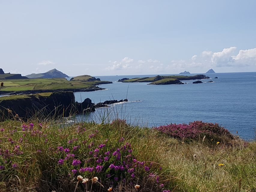 From Killarney: 'Ring of Kerry' Mountain Road 1-Day Bus Tour - Guides can make or break the Ring of Kerry day