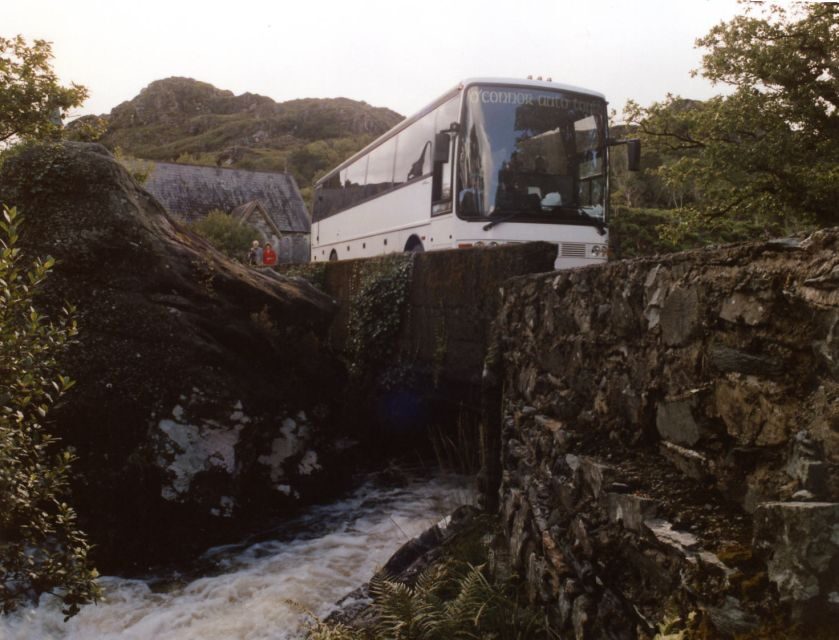 From Killarney: 'Ring of Kerry' Mountain Road 1-Day Bus Tour - Pace, group size, and comfort: what to watch for
