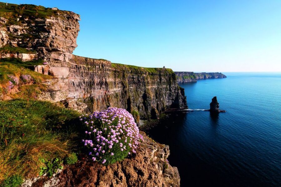 From Limerick: Full-Day Guided Tour of Cliffs of Moher - Price and value: why $56 can make sense