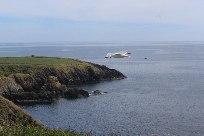 Full day Private Tour from Waterford - Key highlights to look for in this Waterford private day
