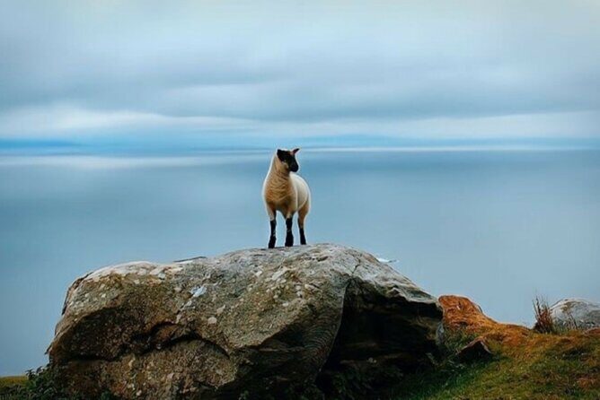 Full Day Private Tour to Ireland - Price and value for a group of up to 6
