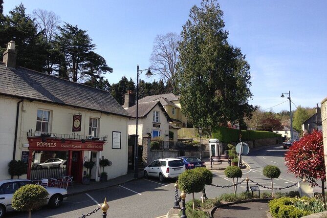 Full Day Private Wicklow Tour - Sally Gap: high mountain views and film-location vibes over Guinness Lake