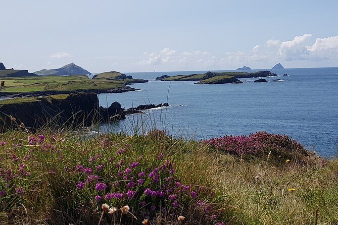 Full-Day Ring of Kerry Tour from Killarney - Where you meet and how the day is paced