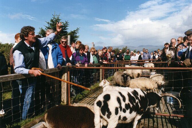 Full-Day Ring of Kerry Tour from Killarney - Killarney National Park to Sneem: rolling countryside with real-town breaks