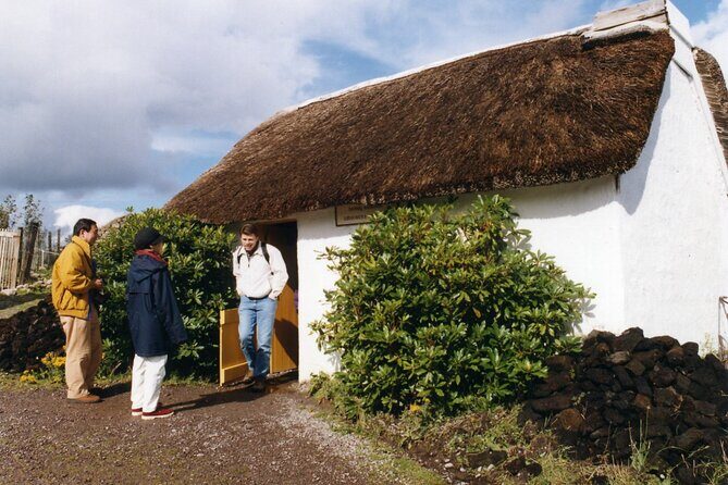 Full-Day Ring of Kerry Tour from Killarney - Dingle Bay and historic coastal stops: where the coast grabs your attention