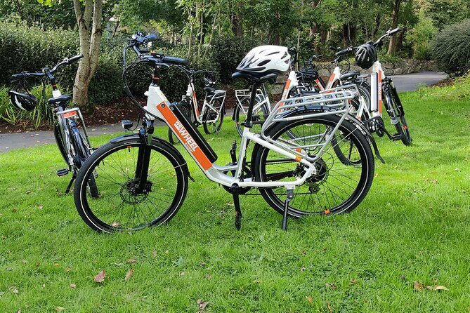Galway City E-Bike Scavenger Hunt Game - Finishing at NUI Galway and Galway Cathedral