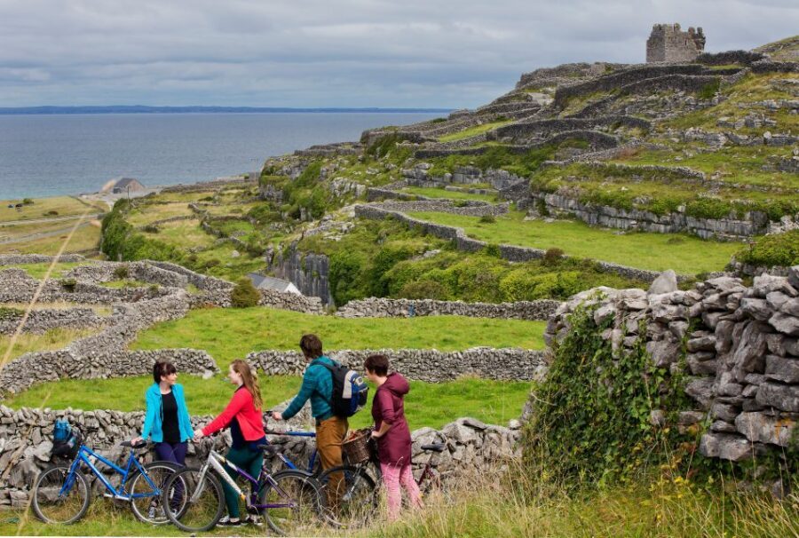 Galway: Cliffs Cruise, Aran Islands & Connemara Day Tour - Inis Oirr on Your Terms: Walking Orientation, Lunch, and Free Time