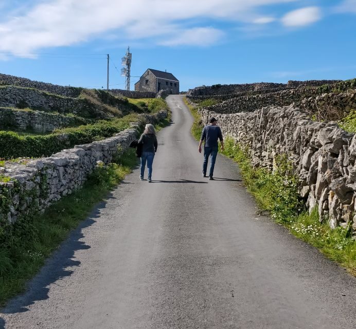 Galway: Cliffs Cruise, Aran Islands & Connemara Day Tour - Ferry Connections and Switching Modes Without Losing Your Day