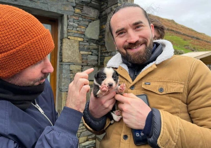 Galway: Connemara, Sheepdog Show and Medieval Castle Tour - Key moments worth planning around