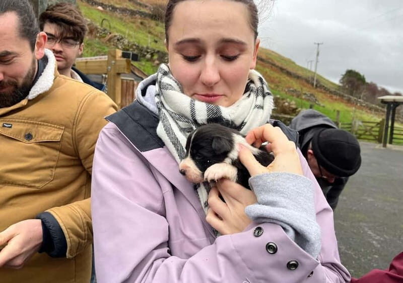 Galway: Connemara, Sheepdog Show and Medieval Castle Tour - What to bring for Connemara weather (and old stone)