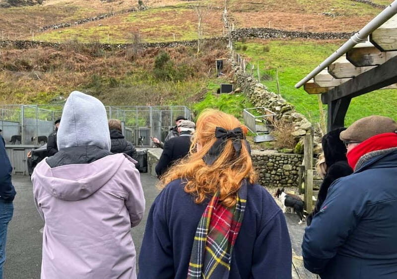 Galway: Connemara, Sheepdog Show and Medieval Castle Tour - Leenane village: quick reset with mountain views and food options