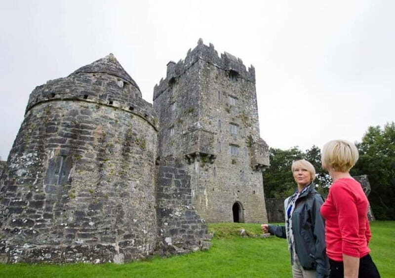 Galway: Connemara, Sheepdog Show and Medieval Castle Tour - Sheepdog demonstration at a traditional Connemara farm