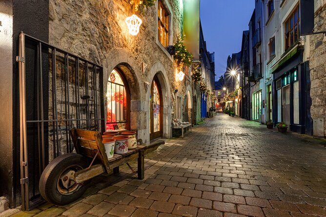 Galway Private Culinary Tour with Local Guide - Who this tour suits best in Galway