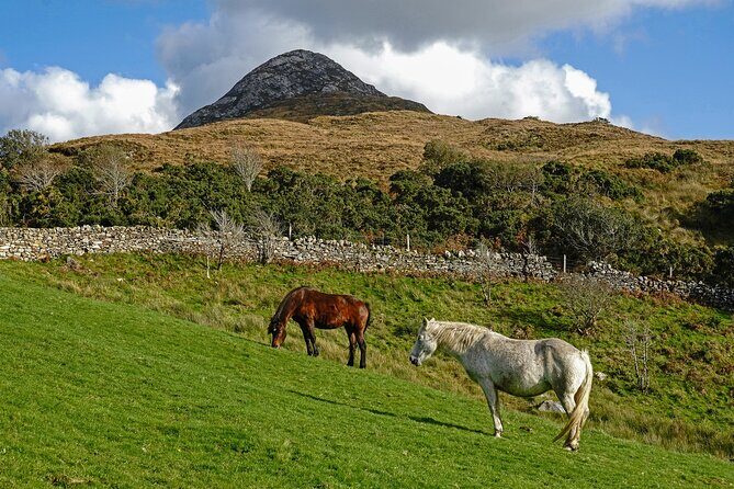 Galway to Connemara National Park Day Tour - Connemara National Park Visitor Centre: Your 2 Hours to Hike