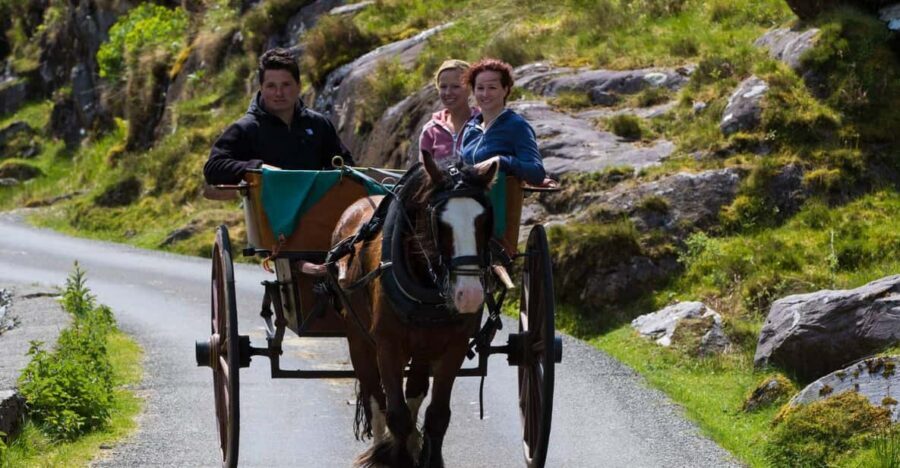 Gap of Dunloe & Lakes of Killlarney Boat Tour - Key highlights to know before you go