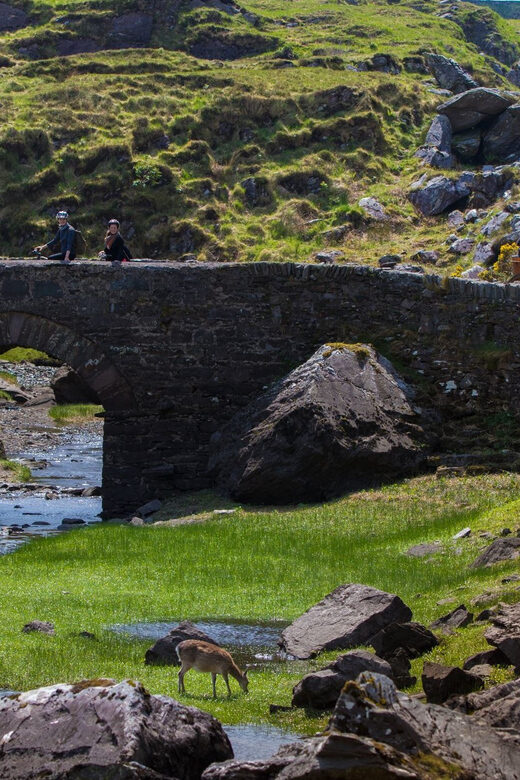 Gap of Dunloe & Lakes of Killlarney Boat Tour - Who this tour is best for (and who should rethink it)