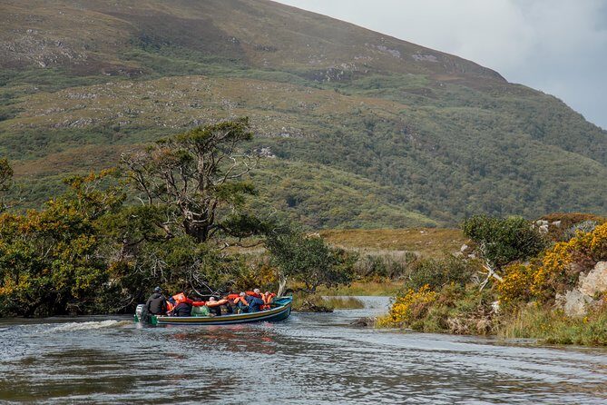 Gap of Dunloe Tour (Boat & Bus) - Killarney National Park by Boat: What the Guided Trip Adds