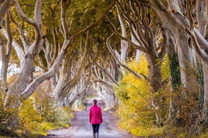 Giants Causeway and Belfast 2 Days with Private Chauffeur Tour - Bushmills Distillery: a 30-minute tasting break that’s easy to like