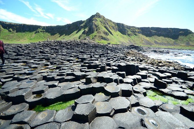 Giant's Causeway, Dark of Hedges & Belfast Day Tour From Dublin - Molly Malone Meetup: How to Find Your Bus Fast and Stay Organized