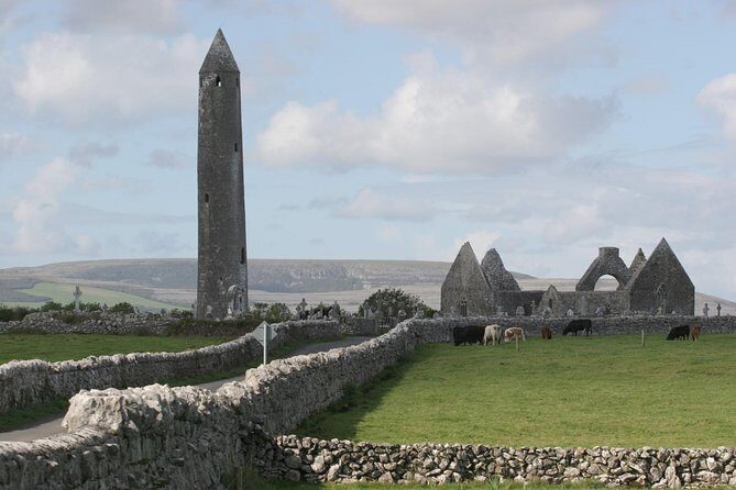Glendalough and Dublin City Excursion - Ship to shore - Timing, group size, and why the day can feel tight