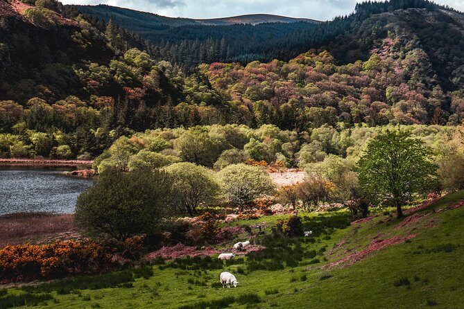 Glendalough Day Tour from Dublin: Including Kilkenny City - Price and value: what you pay for (and what you’re still responsible for)
