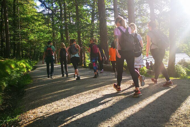 Glendalough Night Hike and History Tour - Sika deer and night wildlife: how to spot animals without getting in the way
