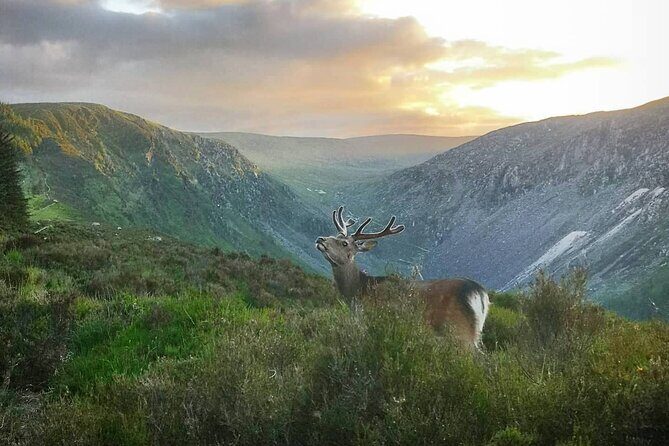 Glendalough Night Hike and History Tour - Vale of Glendalough at sunset: the views come with a story