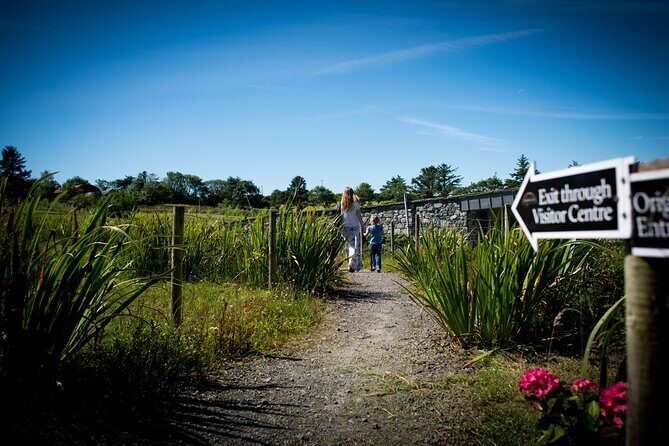 Guided Doolin Cave Tour: Experience Europe's Largest Stalactite - Timing, Groups, and Who Will Enjoy This Most